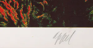 Karel Appel - Saturday uit de serie Seven Summer Days kopen? Bied vanaf 1!