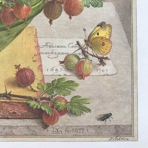 Dirk van Gelder - Gesigneerde print - 1977 - oplage: 5/250 kopen? Bied vanaf 55!