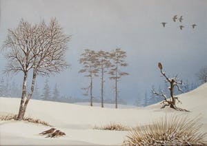 Ari Stolk - Uil op tak en kramsvogels in winterlandschap kopen? Bied vanaf 65!