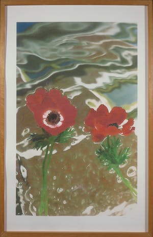 Brigitte de Langen - Foto, Anemonenhuis - Ingelijst (Groot) kopen? Bied vanaf 10!