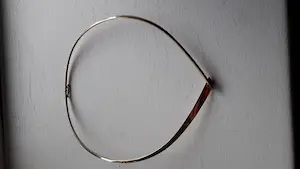 Gouden spang met scharnier kopen? Bied vanaf 1975!