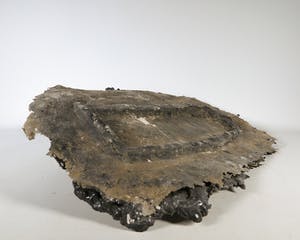 Tom Claassen - Polyurethaanrubber, gips, zand en textiel, Z.T. (Achteruitkijkspiegel) kopen? Bied vanaf 200!
