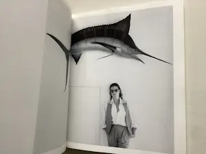 Robert Mapplethorpe - Serge Nazarieff - 2 fotoboeken kaufen? Bieten Sie von 50!