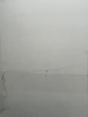 Aad de Haas - DUBBEL ZELFPORTRET (druk Nel de Haas) kopen? Bied vanaf 75!