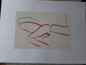 Peter Diem - Kleurenzeefdruk ABSTRAKT NAAKT kopen? Bied vanaf 40!