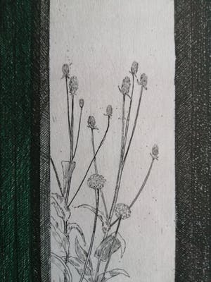 Joost Minnigh - Atelierdeur - 1983 - Kleurenets - eigen druk 13/25 kopen? Bied vanaf 35!