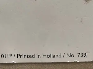 Jeroen Krabbé - Palmboom - Litho - 1990 kopen? Bied vanaf 50!