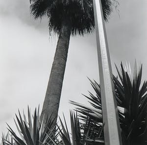 Paul den Hollander - Foto, Jardines de Mossèn - Ingelijst kopen? Bied vanaf 50!