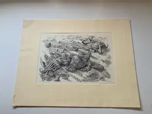 Dirk van Gelder - houtgravure De morgen - 1950 - kopen? Bied vanaf 50!