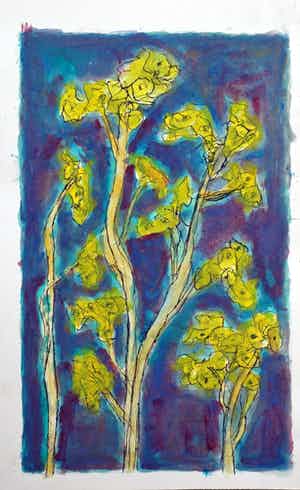 Hans Ebeling Koning - bergeniabloem verkocht voor € 50!