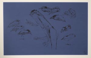 Melle Oldeboerrigter - Inkttekening op blauw geschept papier, Z.T. Naakt, vogels en kikker kopen? Bied vanaf 150!
