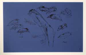 Melle Oldeboerrigter - Inkttekening op blauw geschept papier, Z.T. Naakt, vogels en kikker verkocht voor € 150!