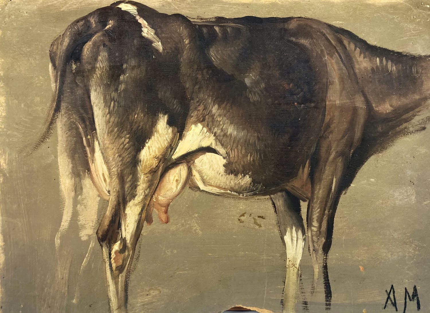 Anton Mauve (sr.) - olieverfstudie van een koe verkocht voor € 150!