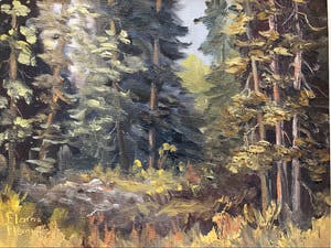 Niet of onleesbaar gesigneerd - Canadese school: bosgezicht door Elaine Fleming (1928-2014) kopen? Bied vanaf 1!