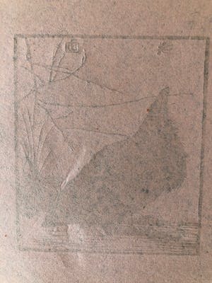 Jan Mankes - Houtsnede kleine kraai kijkend naar mugje - Gesigneerd - 1918 kopen? Bied vanaf 450!