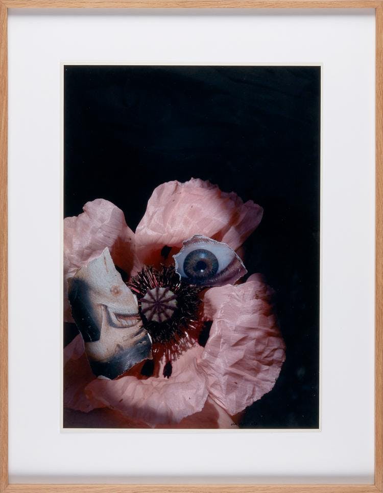 Marc Mulders - chromogenic print 2001 verkocht voor € 150!