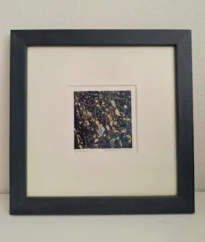 Louise de Vries Lentsch - 'Spetterend!', ingelijst kopen? Bied vanaf 35!