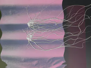 Vincent Mengin-Lecreult - Zonder titel kopen? Bied vanaf 30!