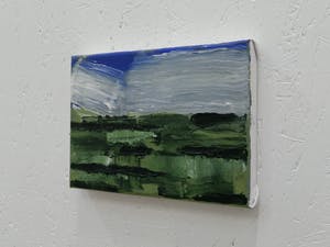 Paul Corvers - Polder kopen? Bied vanaf 75!