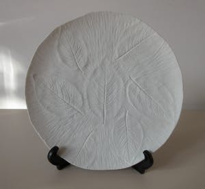 Niet of onleesbaar gesigneerd - Biscuit Porseleinen sierbord met relief afbeelding bladeren - Tirschenreuth kopen? Bied vanaf 1!