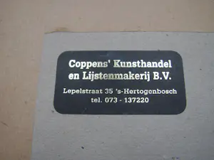 Aart van Woensel - Ravestein kopen? Bied vanaf 20!