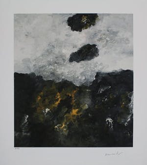 Armando - Giclee LANDSCHAP ZWART Handgesigneerd. kopen? Bied vanaf 159!