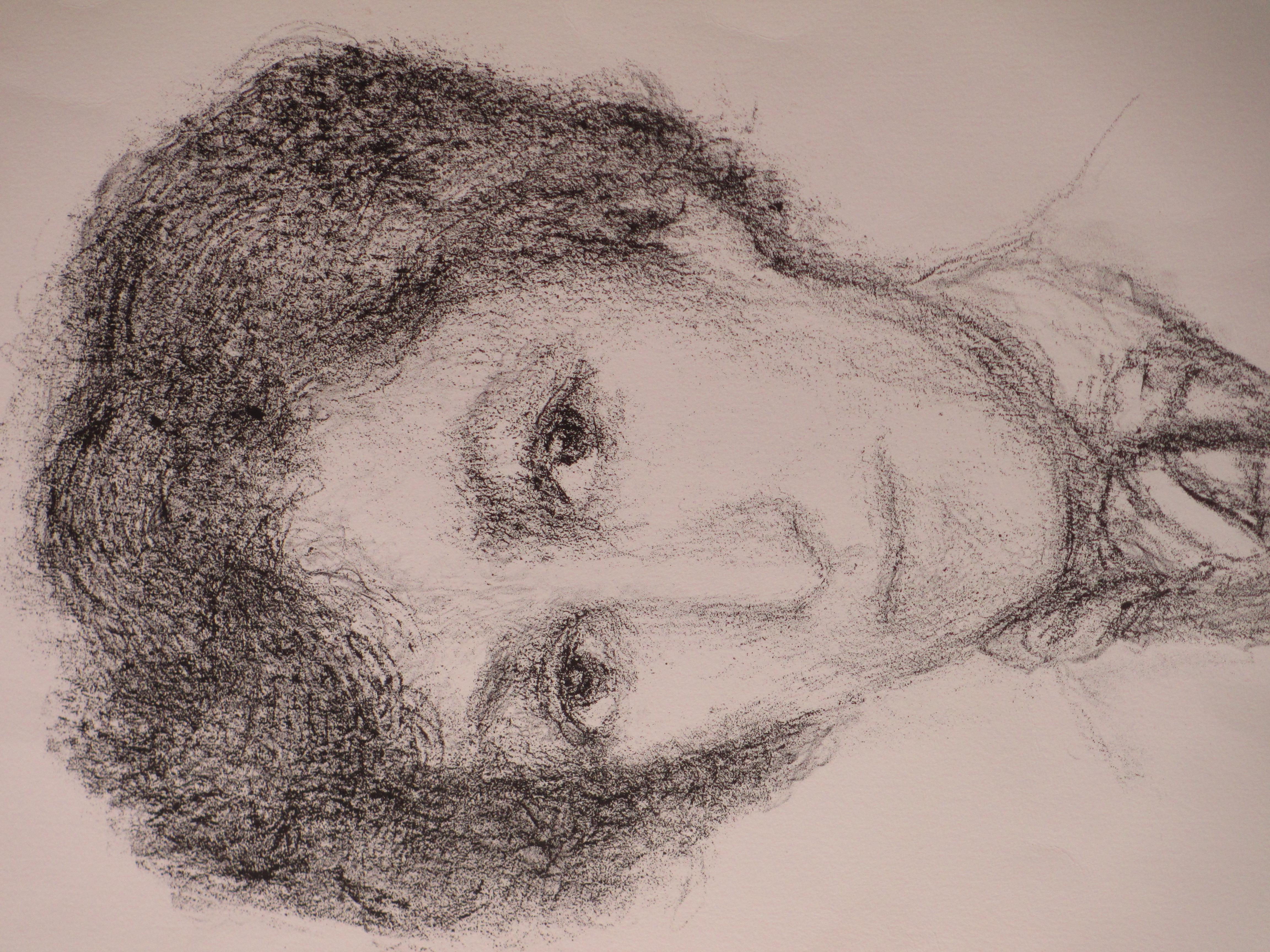 Paul Citroen - Portret van een Joodse vrouw - Litho kopen? Bied vanaf 50!