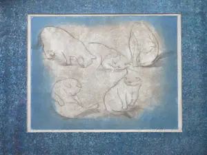 Christel Selmouni - Katten - Kleurets kopen? Bied vanaf 75!