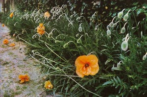 Paul Huf - Foto, Zonder titel - Ingelijst kopen? Bied vanaf 1!