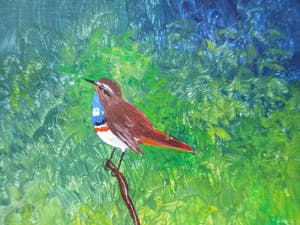 Ari Stolk - Zonder titel (Blauwborst ♂) kopen? Bied vanaf 1!