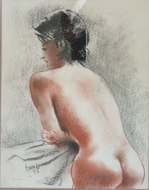 Emile de Vries - Naakt van achteren kopen? Bied vanaf 50!