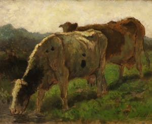 Jan de Jong - Olieverf op doek, Twee koeien - Ingelijst kopen? Bied vanaf 250!