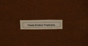 Jan Montyn - Fiesta Erotica Tropiana, 16/30, 1996 - Ets en aquatint op papier kopen? Bied vanaf 30!