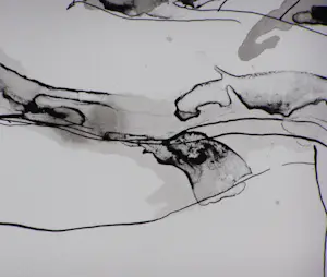 Sam Drukker - Liggend VIII kopen? Bied vanaf 15!