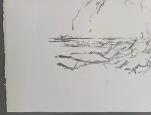 Willem den Ouden - gesigneerde litho kopen? Bied vanaf 79!