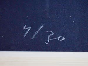 Michael Tedja - Aquaholisme - kleurenets kopen? Bied vanaf 100!