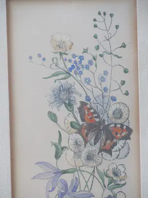 Antoon Hemert - vlinder (kleine vos) tussen de veldbloemen kopen? Bied vanaf 30!