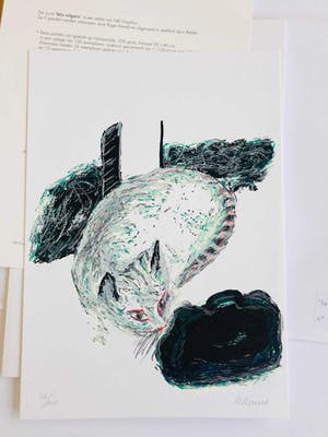 Roger Raveel - Suite van zes zeefdrukken, Felix Vulgaris kopen? Bied vanaf 2845!