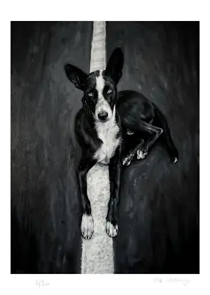 Mr Strange - Op de weg (De witte lijn) kopen? Bied vanaf 85!