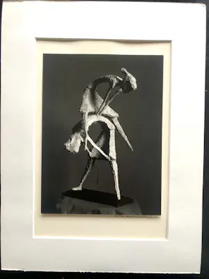 Herman Hahndiek - Bokspringers Rien Goené kopen? Bied vanaf 60!