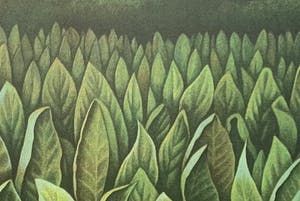 Jean Paul Vroom - kleurenlitho - 'Mei-vallei Praslin' - 1986 kopen? Bied vanaf 100!