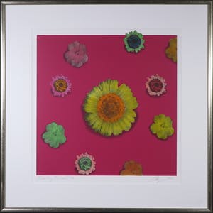 Arjan van Arendonk - Zeefdruk, Floating flowers I - Ingelijst kopen? Bied vanaf 35!