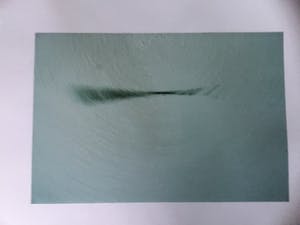 Niet of onleesbaar gesigneerd - “ de tentoonstelling” kopen? Bied vanaf 1!