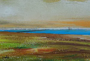 Franklin Meijer - Friese Waddenkust met meeuwen kopen? Bied vanaf 69!