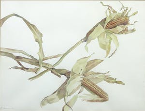 Niet of onleesbaar gesigneerd - Aquarel, Zonder titel - Ingelijst kopen? Bied vanaf 1!