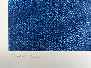 Jean Ruiter - handgesigneerde foto | 'Corpus Lurex' | 1995 kopen? Bied vanaf 1!