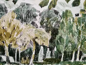 Theo Kurpershoek - Litho kopen? Bied vanaf 10!