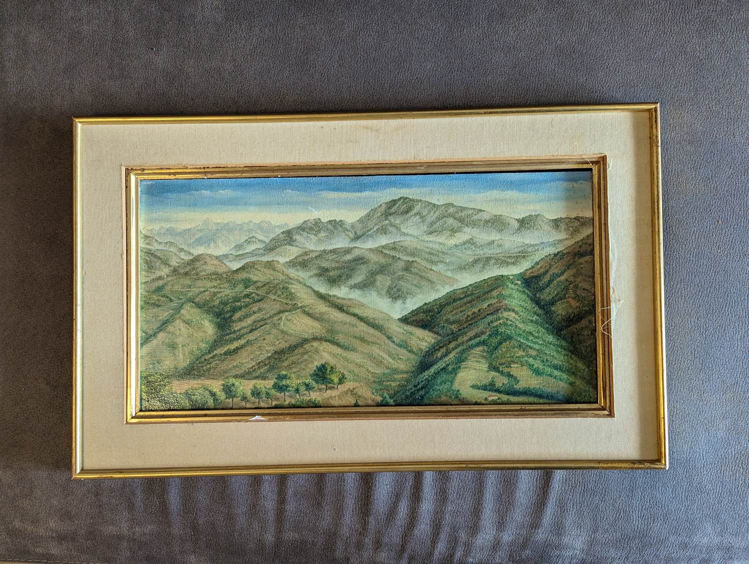 Diana Vandenberg - Landschap bij Carros kopen? Bied vanaf 20!