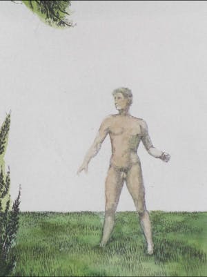 Jean Paul Vroom - Metamorfose - Kleurets kopen? Bied vanaf 1!