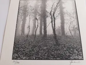 Ralph Janowski - zonder titel kopen? Bied vanaf 25!